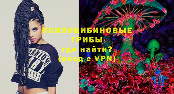 бошки Абаза