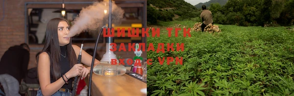 мдпв Няндома