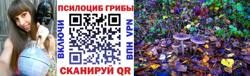мега онион  Чердынь  Псилоцибиновые грибы ЛСД 